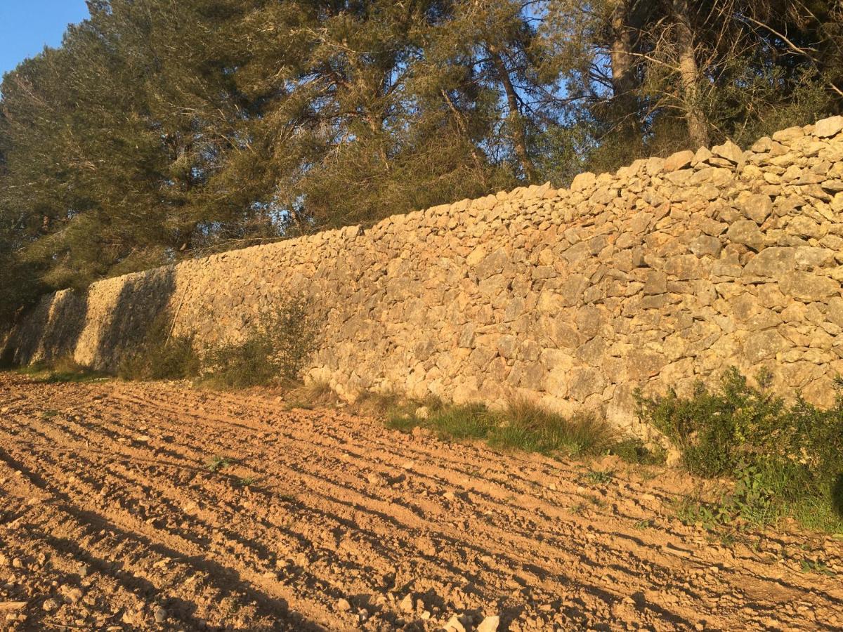 Casa Con Gran Jardin Cerca De La Playa - Baix Villa Tarragona Bagian luar foto
